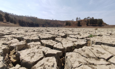El estado padeció uno de los escenarios de sequía más críticos en 10 años / Foto: El Sol de Irapuato